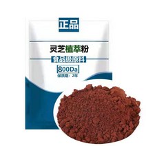 30배 고농도 영지버섯 추출 분말 가루, 1봉, 120g