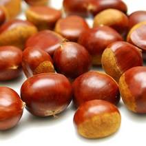 23년 공주 정안 햇밤 2kg~8kg 알밤 생밤 생율, 대-2kg