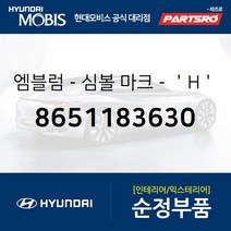 H로고 엠블럼(8651183630) E카운티 글로벌900 에어로 시티 뉴 슈퍼 에어로 시티 E카운티 특장