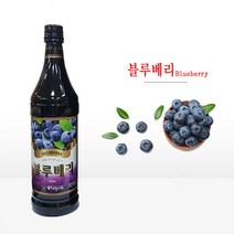 월드씨앗나라 블루베리엑기스 900m 1병, 1개, 900ml