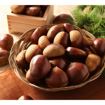 충주 명품알밤 2kg(대) 130알내외 햇밤 노브랜드맛밤 정안알밤 공주햇밤 우리나라맛밤 왕밤 토종밤