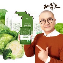 제주스 제주 유기농양배추즙 90포, 단품, 단품