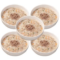 다림식품 쇠고기 야채죽 500gX5개 식사대용, 단품