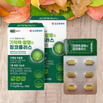 기억력혈행징코플러스30정x2박스 2개월분 은행잎추출물 플라보놀배당체 비타민B군 나이아신