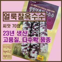 웰빙 얼룩찰옥수수 씨앗/국내산 찰옥수수-23년생산 70립 (소독필)