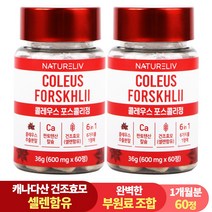 [설날 특가] 건조효모 콜레우스 포스콜리 결정판 60정 셀레늄 판토텐산 칼슘, 2개