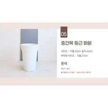 더알로하 조화나무 6종 대형 인조나무, 중간목 둥근화분, 1개