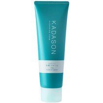 일본직발송 6. KADASON (카다손) 세안 폼 (120G 脂漏肌) 지성 피부 오일 프리 스킨 케어 (일제) B07PLNB, 111 19059838017