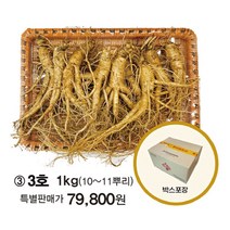 농협 수삼 선물세트 3호 10-11뿌리 1kg 6년근 증평인삼 말리지 않은 인삼 삼누리 6년근 피로회복 사포닌 부모님 귀한분 교수님 기력회복 선물세트