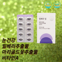 힐스토리 눈건강 눈영양제 루테인 빌베리 업, 1박스(60정)