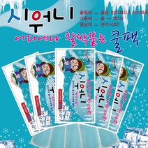 시워니 쿨팩 냉팩 아이스팩 쿨패치 열감소, 아이스 쿨패치