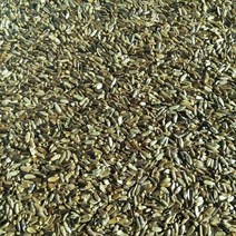 곤드레씨앗 100g/곤드레나물씨앗/고려엉겅퀴씨앗/국내 채종 종자