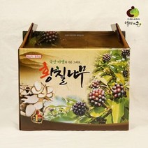 1박스(100mlx60p) 황칠나무즙, 상세페이지 참조, 상세페이지 참조, 영킴스샵 본상품선택