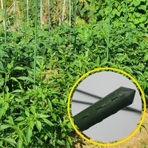 오이 토마토 덩굴 굵은 식물 지지대 지주대 90cm 3P
