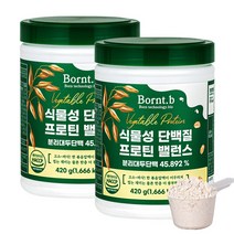 본트비 맛있는 식물성 단백질 프로틴 밸런스 BCAA, 2통, 420g