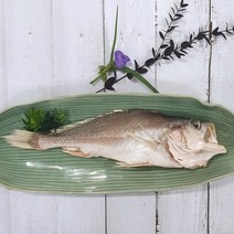 부산 반건조 생선 침조기 특대 제수용 선물용 이바지용, 1개, 1마리 37cm내외/340~390g기준