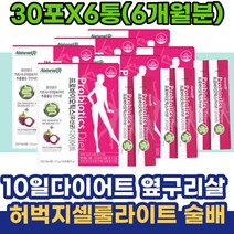 10일다이어트 허벅지셀룰라이트 술배 아랫배 옆구리살 50대 60대 중년 여성 주부 뱃살 허벅지 팔뚝살 똥배 셀룰라이트 종아리얇아지는 알빼기 개인PT 단기간 10일 가르시니아