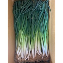 국내산 깐대파 손질 대파 진도, 10kg(손질대파), 1박스