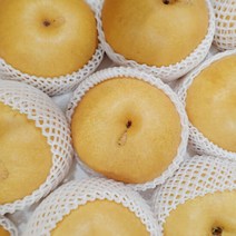 황금열매 전남 나주 가정용 흠집배 7.5kg 특대과 (7-10과), 단품