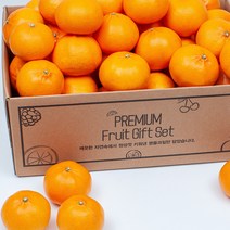 세상모든농부 제주 천혜향 새콤달콤 고당도 제주도 만감류, 천혜향 3kg 대과