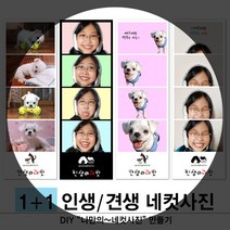 [동네사진관] 견생네컷 사진인화 애견사진 강아지 증명사진 반려동물사진, 1세트, 누끼