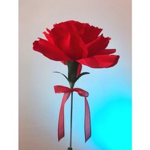 자이언트 카네이션 완제품, 핑크, 1개