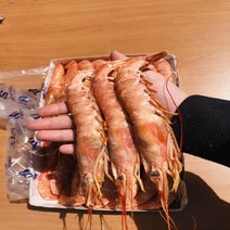바다몰 자연산 홍새우 이지필 특대 (냉동), 300g, 2개