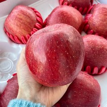 직거래농민장터 아삭아삭 햇 사과 부사 장수 거창 함양, 1박스, 사과 5kg 13-15과