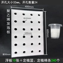 식물 재배기 수경 집에서상추키우기 콩나물 구멍이있는 야채 플로팅 심기 보드 물 딸기 폼 물고기 연못 온실 무 토양 재배 장비, 수지, 심기 보드 10 세트, 조리개 약 32mm
