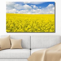 셀러허브 제주도 유채꽃 와이드 풍경 사진 그림 액자 6호 41x27cm, 캔버스액자(옆면검정)
