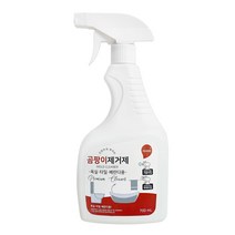 퍼굿 간편하게 뿌리는 곰팡이 제거제 700ml, 1개