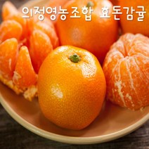 프리미엄 효돈감귤(의정영농조합) 5kg - 당도최고감귤, 10kg 작은귤(2S)