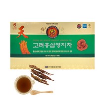 영지 홍삼 갈근 차 3g x 100포, 2개
