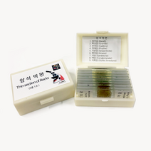 미래과학 암석박편(9종1조) 과학준비물, 1개