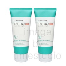 브링그린 티트리 시카 클렌징 폼 200mL 더블기획, 2개