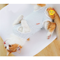 고양이 환묘복 살균 옷 수술옷 보호옷 산후옷 6, 면 파란색과 흰색 줄무늬 수술 가운, S 백 길이 19CM