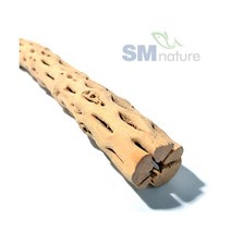 SM 프리미엄 초야우드 [특대] 약 80cm