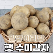 [분많은밀양감자] 마미템 국내산 포슬 하우스 햇감자 간식 포근포근 쪄먹는 수미감자, 1개, 3kg (상)