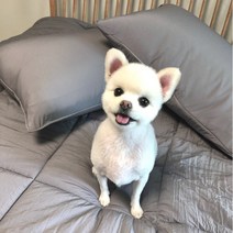 고양이 강아지 털안붙는 먼지없는 알러지케어 차렵이불
