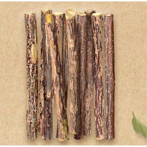 반려묘 치석 제거 개다래 나무 M 6p 막대형 냥덕후 심심풀이 집고양이장난감 고양이마약 애묘 고양이막대, 1개