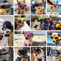 강아지 고글 안경, 1-소중형고글-검정, 본상품선택