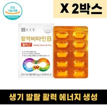 종합비타민 B군 활력 활역 비타민B 수용성비타민 B1 B2 B6 B12 판토텐산 엽산 나이아신 비오틴 클로렐라 블루베리추출 복합 영양제 2박스
