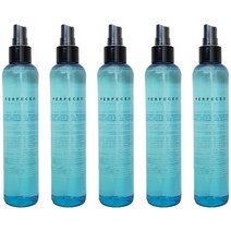 히솝 퍼펙엔 슈퍼하드 미스트 워터스프레이, 5개, 250ml