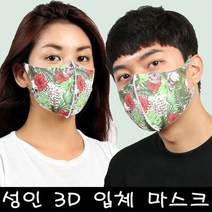 [블랙마스크][자체제작] 여성용 성인용 3D 입체 마스크_하와이