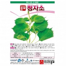 아시아종묘 자소씨앗종자 청자소-아오시소(3g)