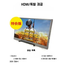 휴대용 보조 포터블 모니터 4K 144HZ IPS 17인치, 13.3인치 ips, 기본형