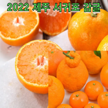 2022 제주 서귀포 감귤 4.5kg 6.5kg 9kg 탱글과육 새콤달콤 조생 감귤 하우스 귤, 제주 감귤 4.5kg S~M 로얄과