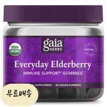 가이아허브 에브리데이 엘더베리 462mg 80개입 [미국 직배송], 1개, 80개