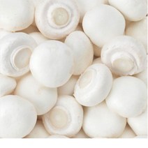 [버섯돌이네농장] 건강한 생양송이1kg [GAP인증] 당일수확, 1개
