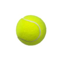 연습용 테니스공